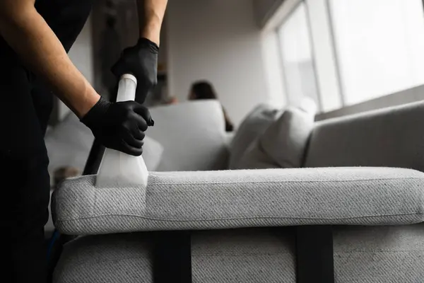 Upholstery Cleaning